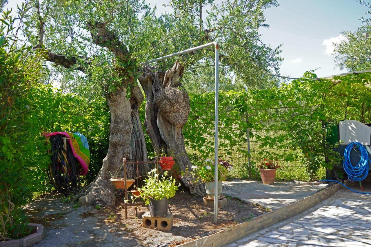 Villa Veni Olive House Kalamata Esterno foto
