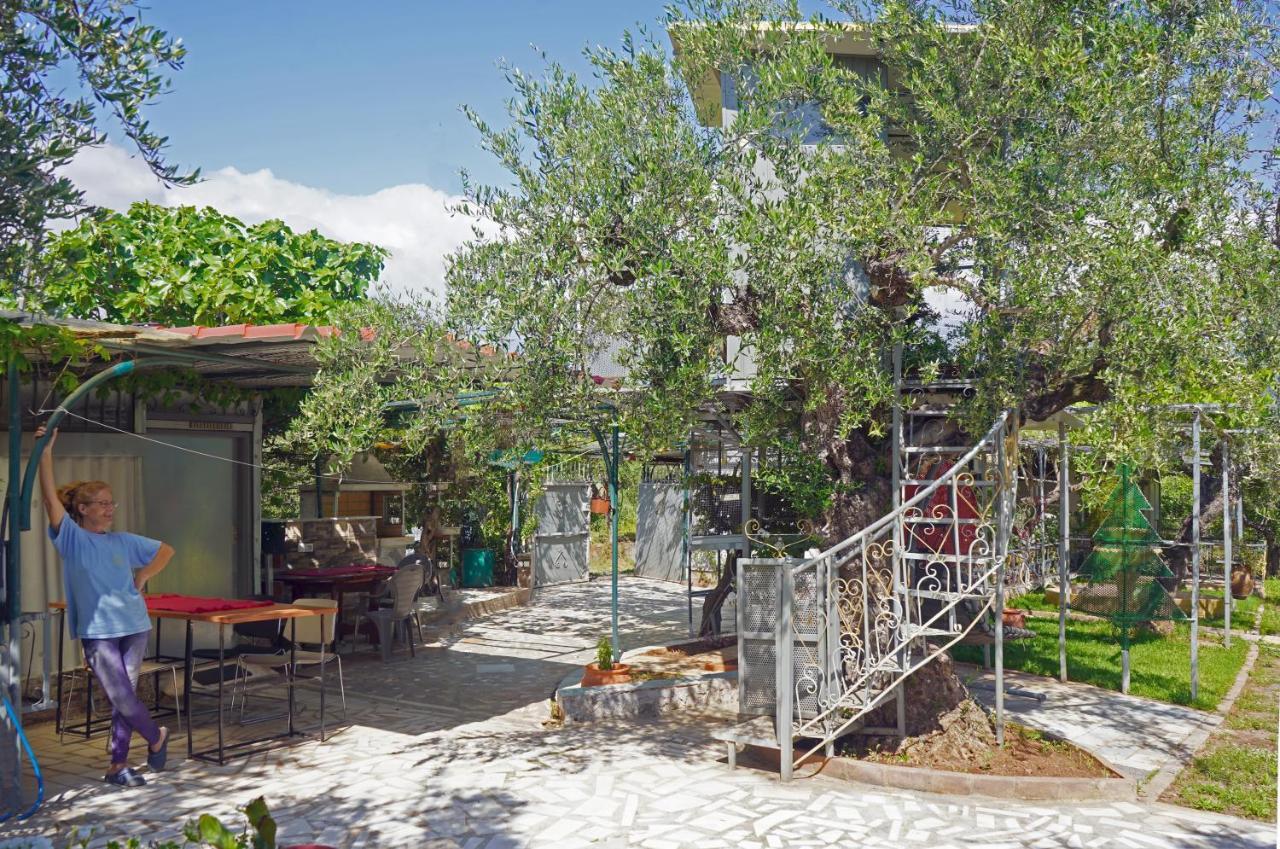 Villa Veni Olive House Kalamata Esterno foto