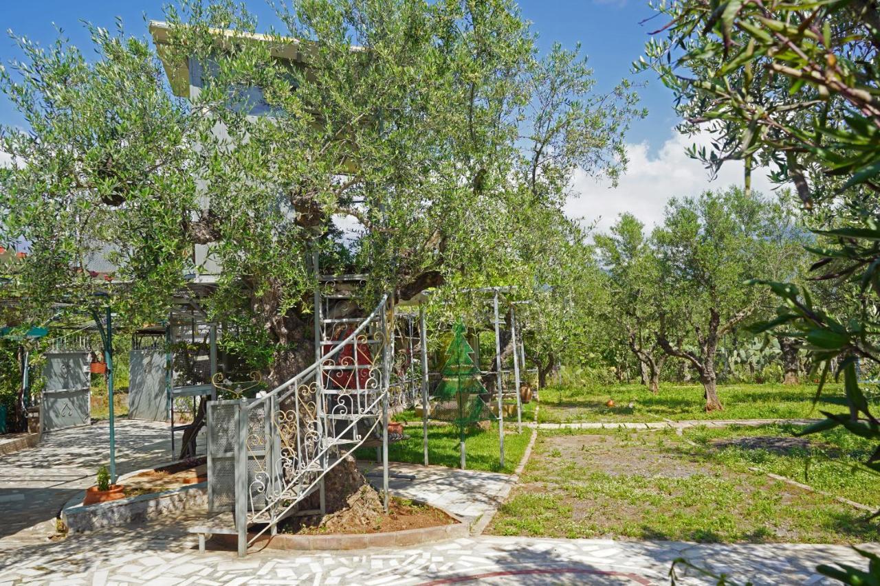 Villa Veni Olive House Kalamata Esterno foto