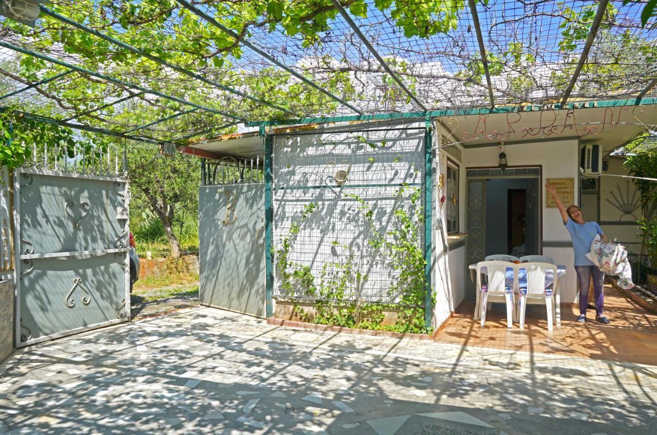 Villa Veni Olive House Kalamata Esterno foto